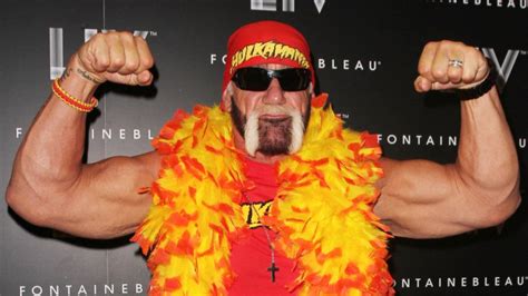 Hulk Hogan Fired By Wwe