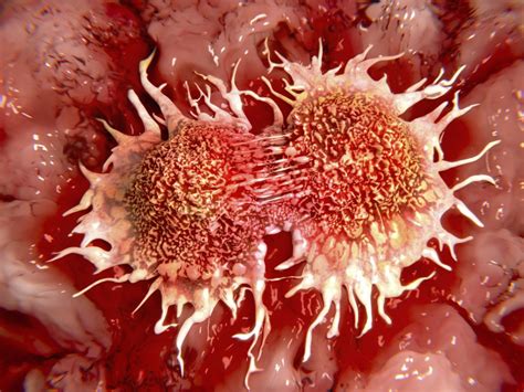 Cancerous Cells