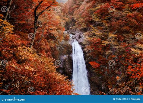 Akiu Waterfall Akiu Otaki White Water In Red Autumn Lush Forest