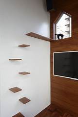 Cat Shelves Stairs