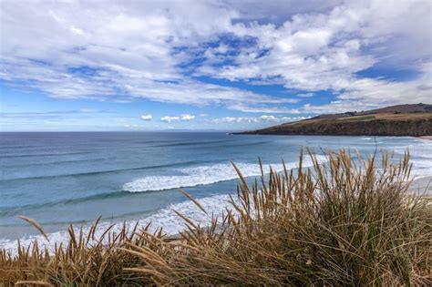 Premium Photo View Of Sandfly Bay In The South Island Of New Zealand