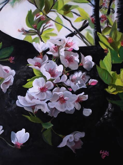 Cherry Blossoms Painting By Kelly Gross