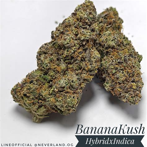 Banana Kush Ultimate Indica Dominant Strain For Relaxation