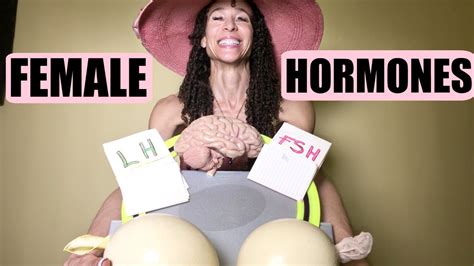 What Happens To Female Hormones During Menopause 9 Youtube