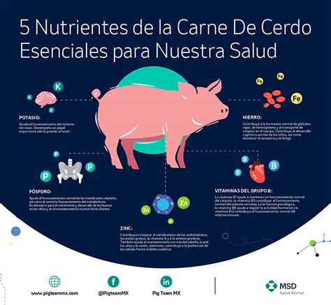 Carne De Cerdo Elemento Fundamental Para Una Dieta Saludable 💚ecodominicana