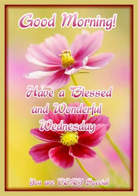 Good Morning Have A Blessed And Wonderful Wednesday Pictures Photos