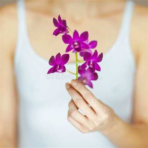 Woman Hands Holding Some Violet Orchid Flowers Sensual Studio Shot