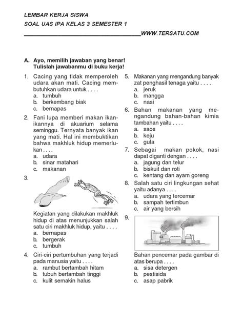 Tanpa terasa perjalanan dalam dunia pendidikan mau menginjak kepada penilaian akhir semester (pas) yang di. Soal Uas Ipa Kelas 7 Semester 1 Dan Kunci Jawaban