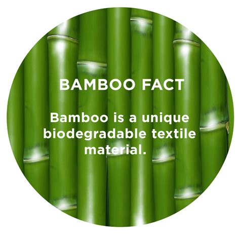 Bamboo Clothing Facts Tgb Fashion