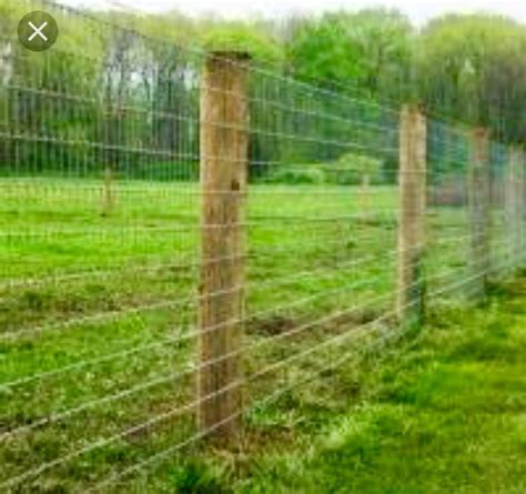 Temporary fencing is useful when you need fencing that does not need to be secured in the ground. Low cost fence | Temporary fence for dogs, Fence options, Building a fence