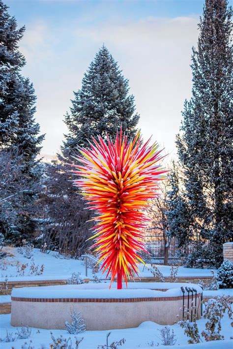 Denver Botanic Garden Chihuly Blown Glass Art Broken Glass Art