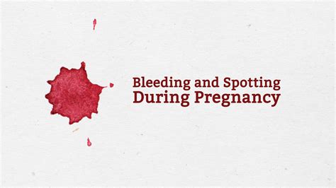 2 days of heavy bleeding in early pregnancy pregnancywalls