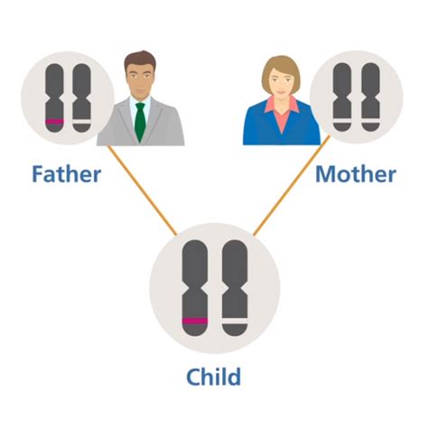 x linked recessive inheritance where the father has a condition genomics education programme