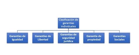 Clasificaci N De Garant As Individuales C Mo Se Clasifican