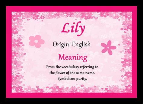 Meaning Of Names Lily Meancro