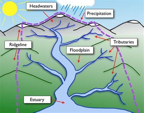What Is A Watershed And What Does It Consists Of