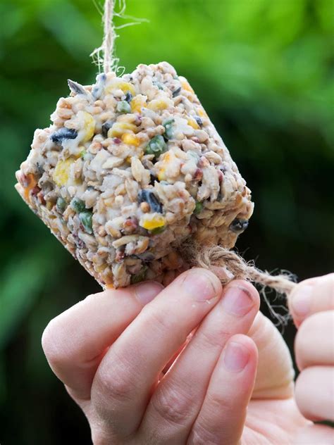 Spread one serving of feeder mixture onto tree bark or smush it onto a pine cone. Make Bird Seed Cakes | Suet cakes, Homemade bird feeders ...