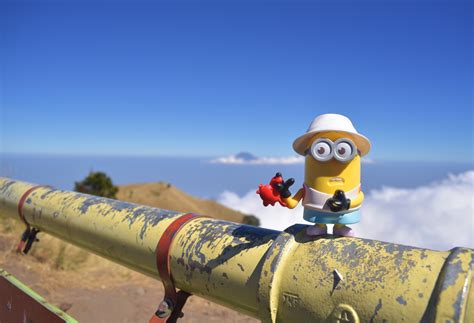 Despicable Me 4: the new animated film confirmed for 2024