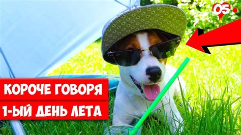 Поздравляем с первым днем лета! КОРОЧЕ ГОВОРЯ, ПЕРВЫЙ ДЕНЬ ЛЕТА. Короче говоря ЛЕТО ...
