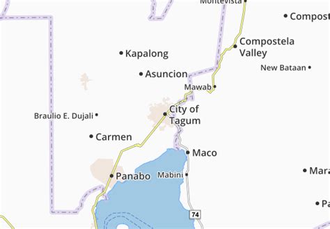 Michelin City Of Tagum Map Viamichelin