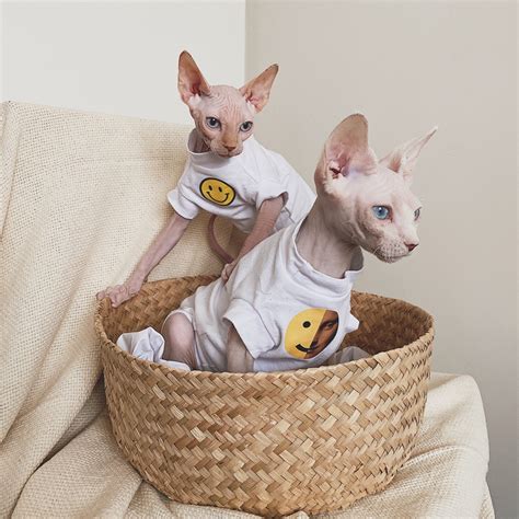 Cotton Hairless Cat Clothes Sphynx Cat Clothing Smile Face Etsy