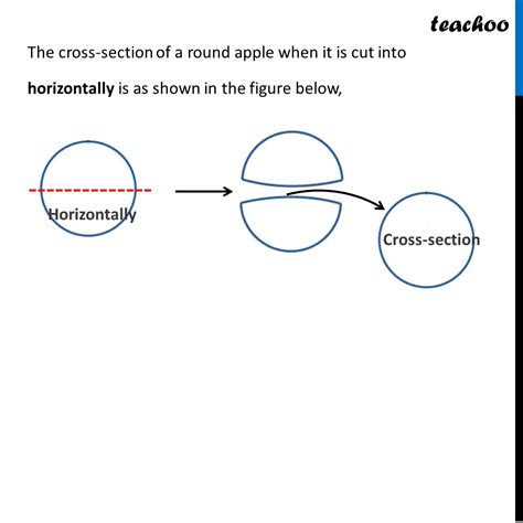 What Cross Sections Do You Get When Cutting B A Round Apple I Vert