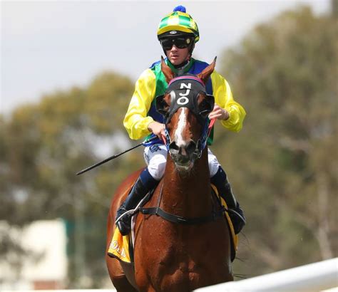 Talented Apprentice Jockey Tyler Schiller Returns Home To Reunite With Supreme Polarity In The