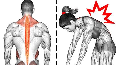 8 Exercises For Lower Back Pain Youtube