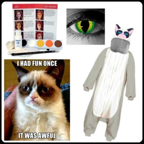 🔥 50 Grumpy Cat Halloween Wallpapers Wallpapersafari