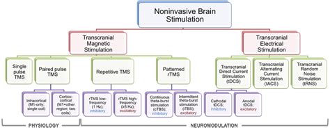 Frontiers Non Invasive Brain Stimulation In Neurorehabilitation