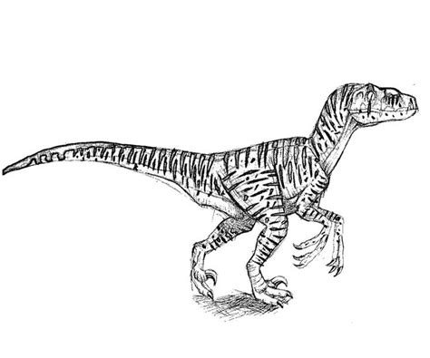 Print a velociraptor coloring page, and color the ferocious velociraptor, as seen. Jurassic World Printable Coloring Pages | Coloring pages ...