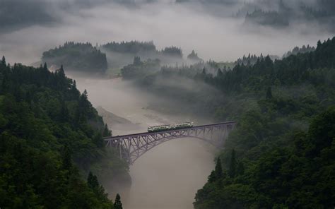 Nature Mountain Forest Landscape National Geographic Fog Ultrahd