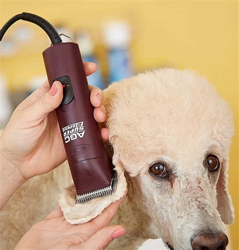 7 Best Dog Clippers For Poodles 2021 Reviews All Pets Life
