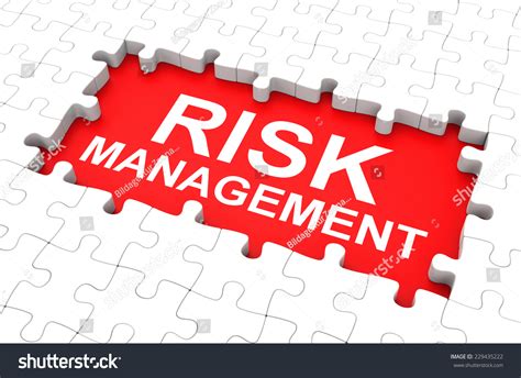 Risk Management Stock Illustration 229435222 Shutterstock