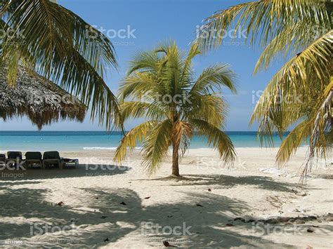 Beach Scene In Jamaica Stock Photo Download Image Now Istock