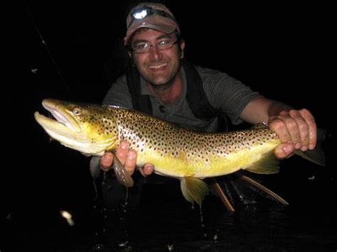 Night Fishing For Trout Fly Fishing With Large Mouse Patterns