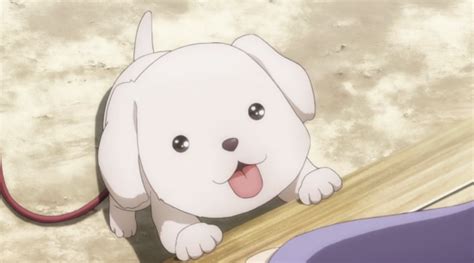 Todays Anime Dog Of The Day Is This Imaginary