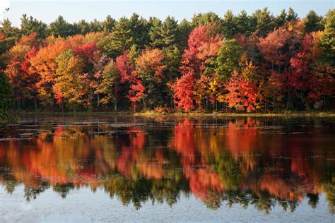 Tips For Shooting Fall Foliage And Autumn Scenes Northrup Photo