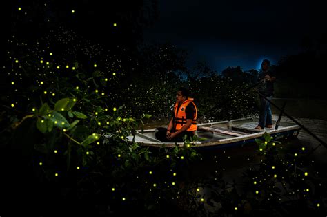 When night falls in this sleepy coastal village not far from kuala lumpur, the. 3 Attraction Places For You To Explore In Kuala Selangor