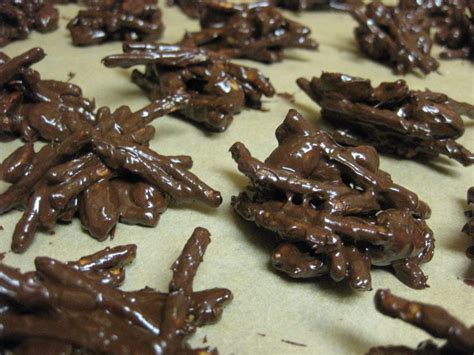Chocolate Covered Ants Make Eating Insects Enjoyable