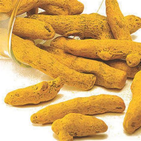 Organic Turmeric Powder And Finger Supplier From India Buy Export