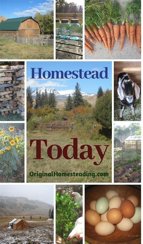 Homestead Today Learn How To Start Small With Beginning Homesteading