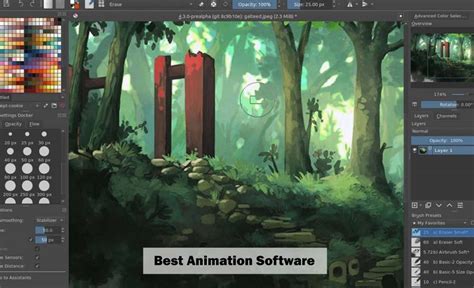 Best Animation Software What Tools Do Professional Animators Use