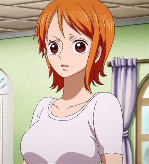 Pin De Aku Em One Piece Episode Of Nami Nami Swan