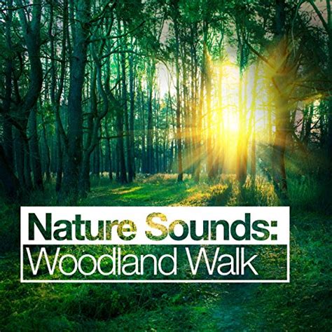 Nature Sounds Woodland Walk By Natural Sounds Nature Sound Collection