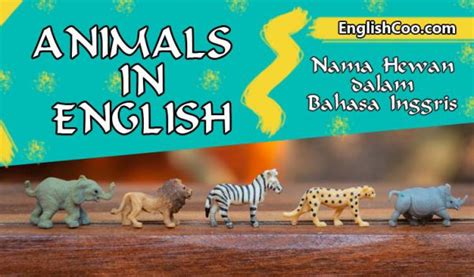 Nama Hewan Dalam Bahasa Inggris Dan Artinya Serta Cara Membacanya