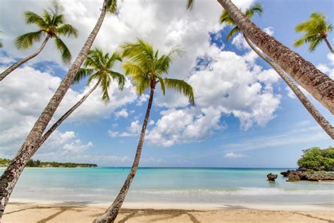 Playa Bonita Beachfront 4e1 Las Terrenas Precios Actualizados 2019