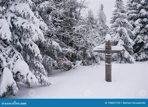 Wooden Totem In A Forest Covered In Snow Stock Image Image Of Scenic