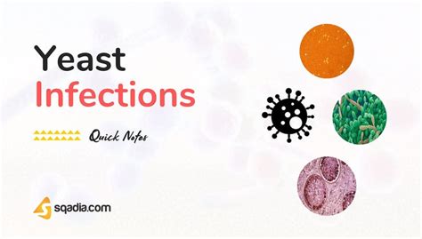 Yeast Infections