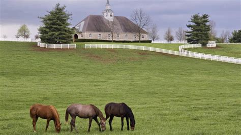 Donamire Horse Farm In Lexington Kentucky Hd Desktop Wallpaper